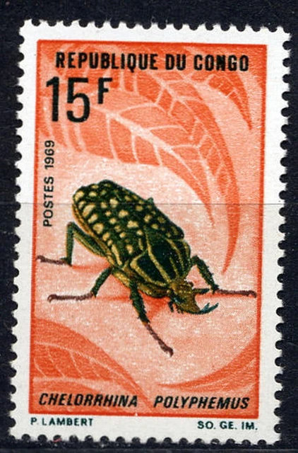 Kongo,Käfer 2