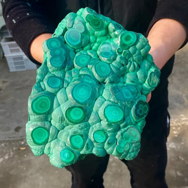 4.21LBLarge Natural glossy Malachite transparent cluster rough mineral sample