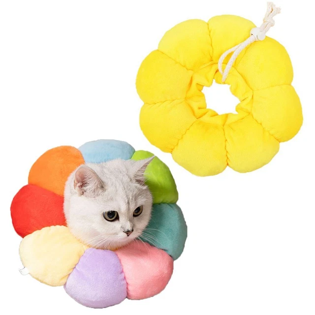 compagnie Cône de cou mignon Chat Petit Chien Ajustable Collier de récupération