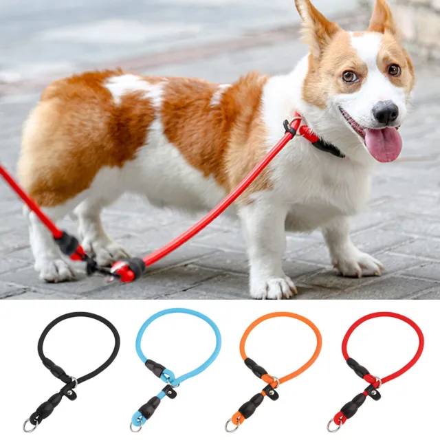 Strong Nylon Slip on Lead Rope P Choker Head Collar for Pet Training Adjustable