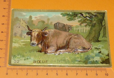 CHROMO BON-POINT IMAGE ECOLE Gaufré 1890-1910 ANIMAUX PERDRIX 