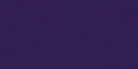 25 Pack My Colors Canvas 80lb Cover Weight Cardstock 12"X12"-Deep Purple -CV12-5