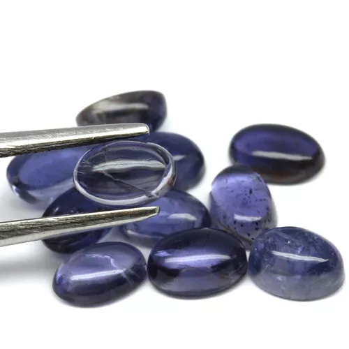 Lot de 20 cordièrite iolite en cabochon ovale de 10,16Cts