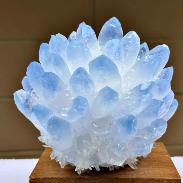 1.11LB New Find Blue Phantom Quartz Crystal Cluster Mineral Specimen Healin