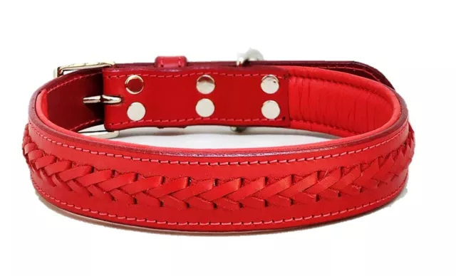 STG Genuine Leather Braided Soft Padded Luxury Red Dog Collar For Unisex Dog