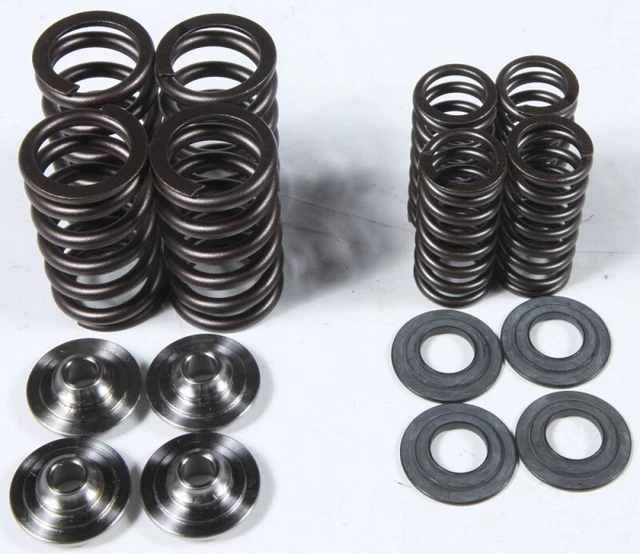 Kpmi Racing Valve Spring Kit - 60-60500