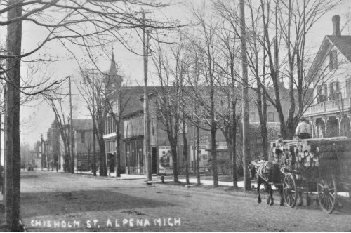 Chisolm Street View Alpena Michigan MI Reprint Postcard