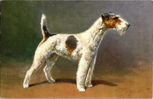 Antique Dog Postcard FOX TERRIER, Rivst - Artist Signed - Stehli Frères