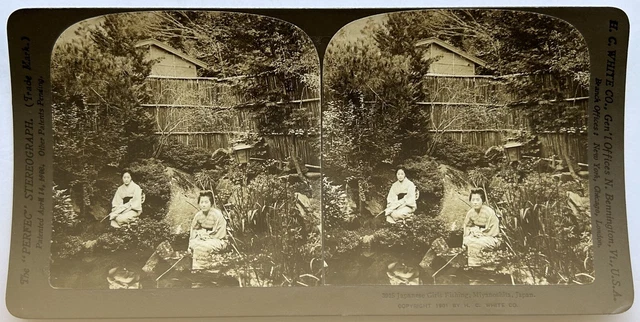 Japan Miyanoshita -frauen Gewachst 1901 Foto Stereo Vintage P81L9n12