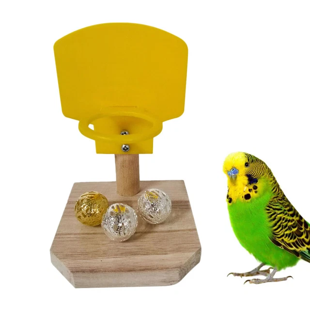 Juguete de entrenamiento de baloncesto loro juguetes de actividad pájaros campana de periquito
