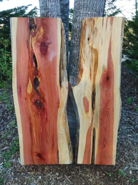 Cedar slabs 2 (thick set)  (Live Edge)  River Table Set (epoxy set)