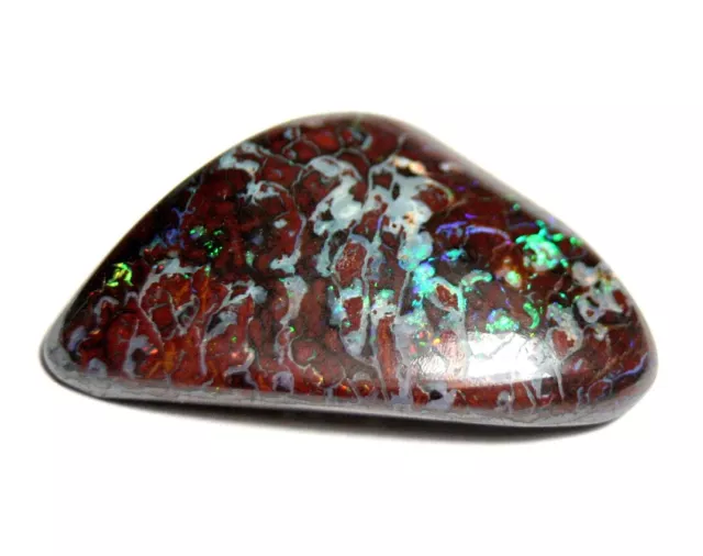 Cabochon opale masso 19,5 carati - Koroit Yowah Australia - splendido neon guarda video 3