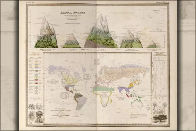 Poster, Many Sizes; Map Of Botanical Geography Of The World 1848