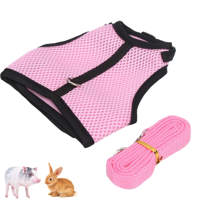 Pet Pink Mesh Traction Harness Brust Zurück Mit Leine Für Kaninchen Guinea Pig P