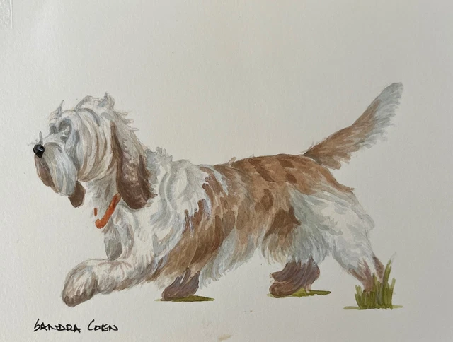 Petit Basset Griffon Vendeen Original Watercolor by Sandra Coen with collar