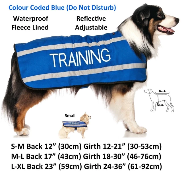 Warning Dog Colour Coded Collar Lead Harness CAUTION, TRAINING Sizes & Styles