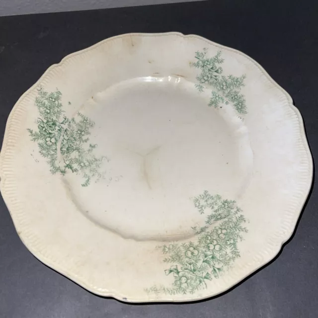 EPP east Palestine pottery plate green fruit tree 9in Plate Vintage ￼Antique