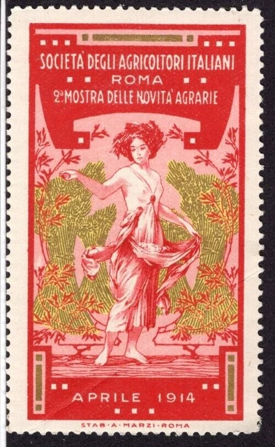 Aschenputtelbriefmarken - Italien Rom 1914 Societa Degli Agricoltori 38x65mm
