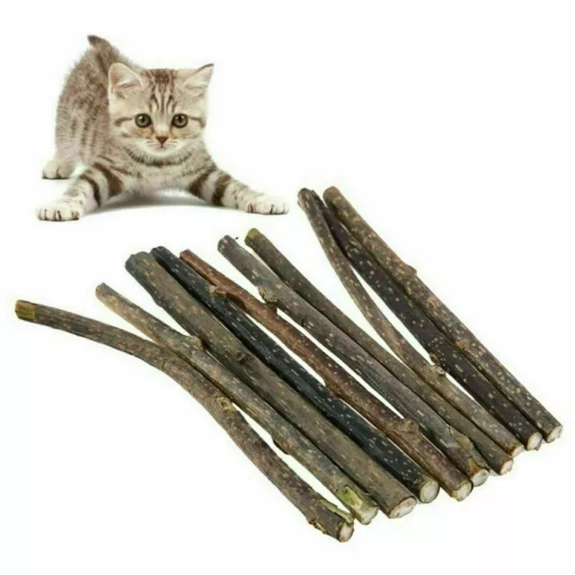 Catnip Sticks Natural Matatabi Silvervine Chew Toy Teeth Cleaning 10Pcs