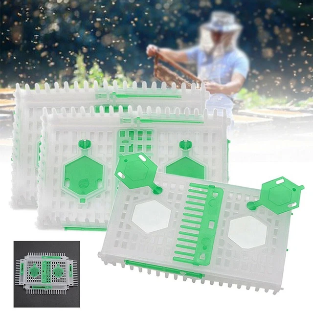 Hive Queen bee cage Rectangular Plastic Beekeeping Equipment For apiculture