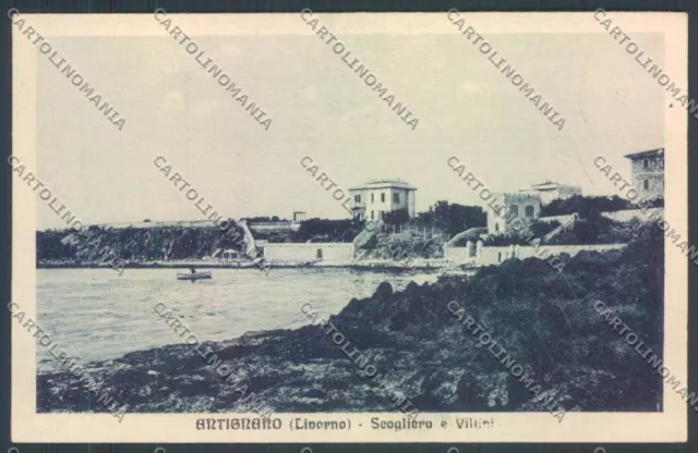 Livorno Antignano cartolina ZB5115