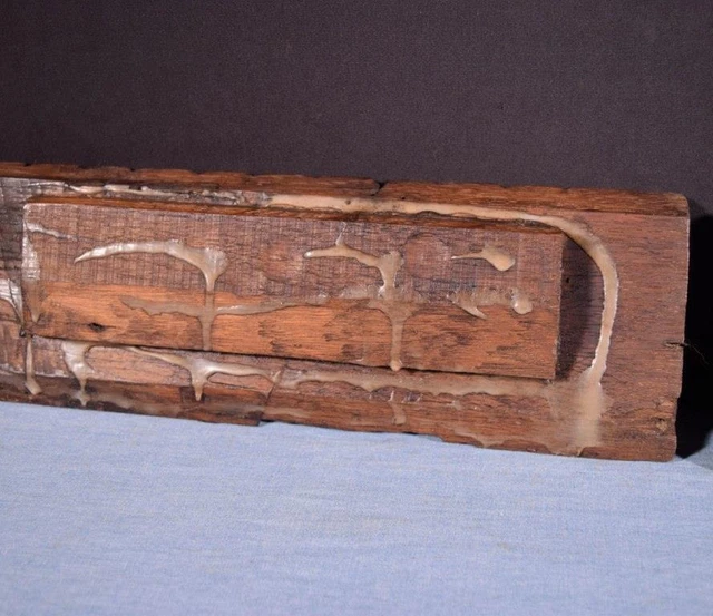 *French Antique Highly Carved Architectural Trim Panels in Solid Oak Salvage 12