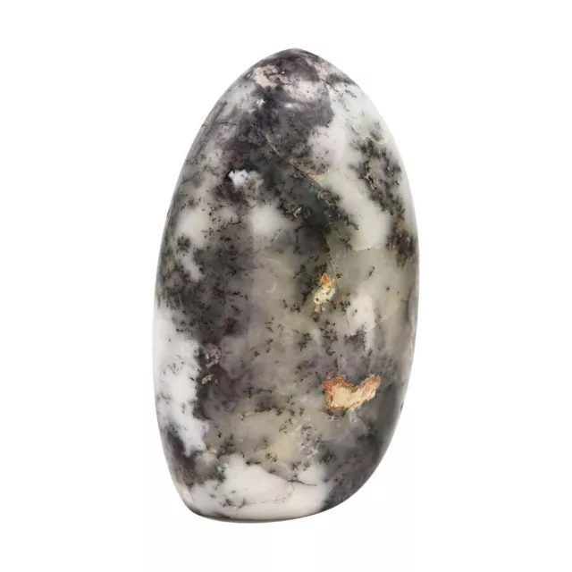 Gem Treasures - White Agate - Dendrite Free Form Approx.5000 cts. 2