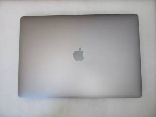 Apple MacBook Pro 16" A2141 EMC 3347 2019 computer portatile Intel