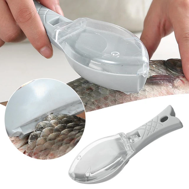 thumbnail image 2 of MAXPERKX 2-Pack Stainless Steel Fish Scale Remover – Kitchen Descaler Scraper Peeler 2 of 5