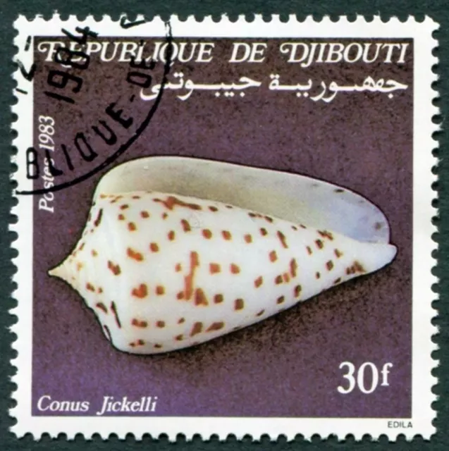 DJIBOUTI 1983 30f SG894 used FG Shells Conus jickelli ##W30