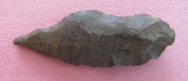 Nice Copena Fort Payne Chert 2" L x 3/4" W With COA Grade:7