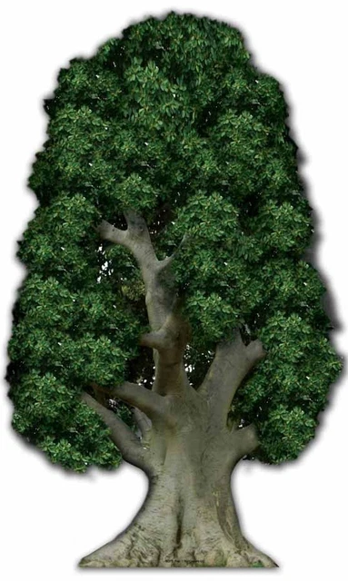 LARGE TREE - Huge Cardboard Cutout / Standee / Prop £35.04 - PicClick UK