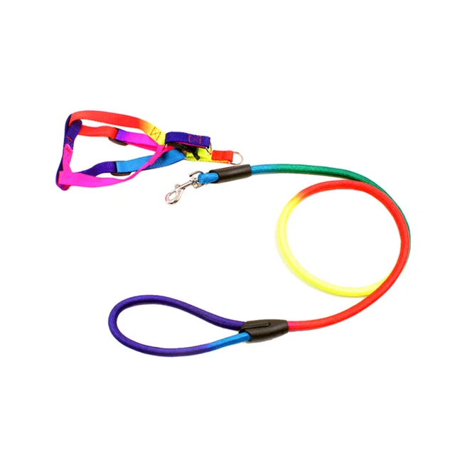 Rainbow Color collari cani guinzaglio cuccioli cinghie guinzaglio cinture pettorali animale domestico