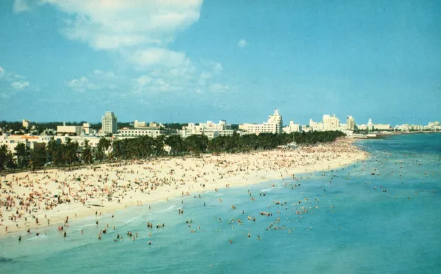 Vintage Postcard South Ocean Beach Lummus Park Palms & Sand Miami Beach Florida
