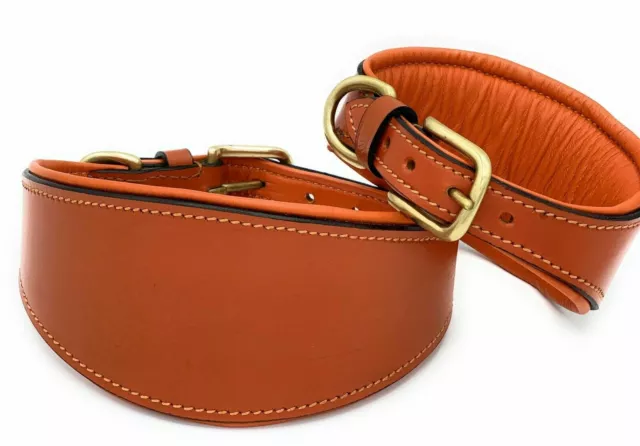 Whippet Greyhound Leather Dog Collar Soft Luxury Padded And Lined Lurcher Strong