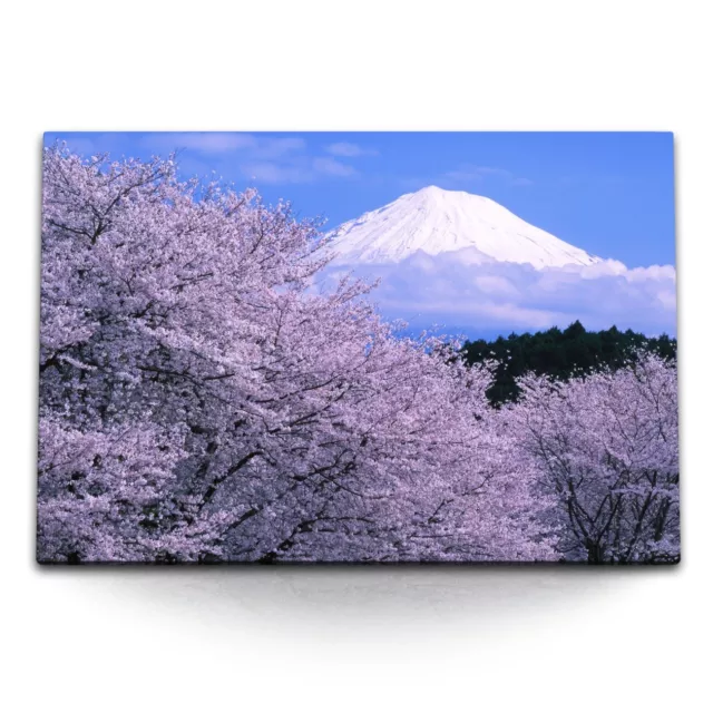 120x80cm Wandbild auf Leinwand Japanische Kirschblüten Japan Fuji Vulkan Frühlin