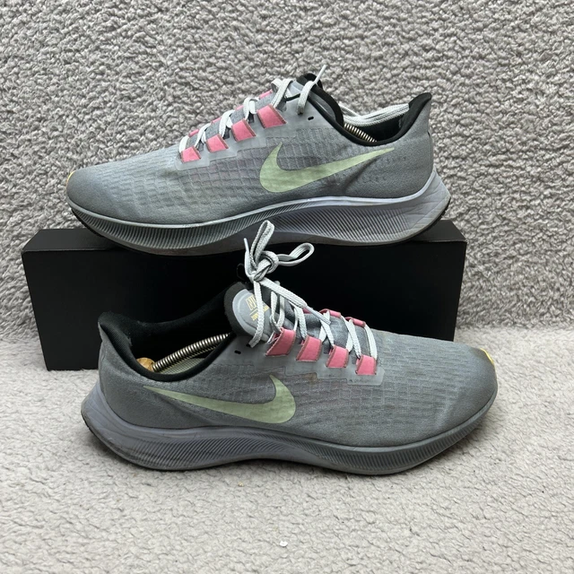 pegasus 37 obsidian mist