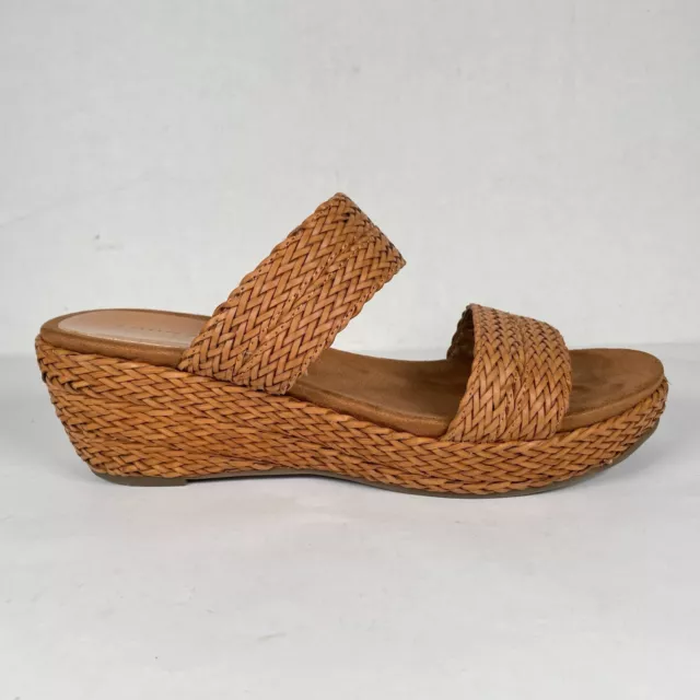 Anne best sale klein zala