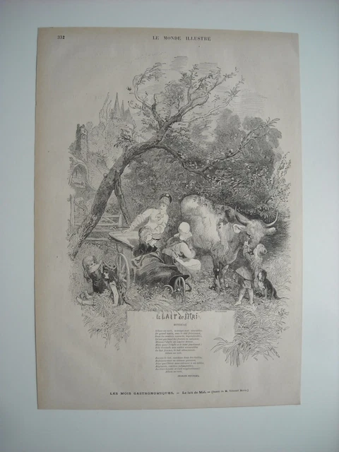 Gravure 1877.  Les Mois Gastronomiques. Lait De Mai. Composition Edmond Morin.