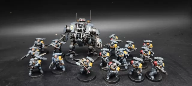 Games Workshop Warhammer 40k Combat Patrol Space Wolves pro painted army Games Workshop Warhammer 40k Combat Patrol Space Wolves pro painted army