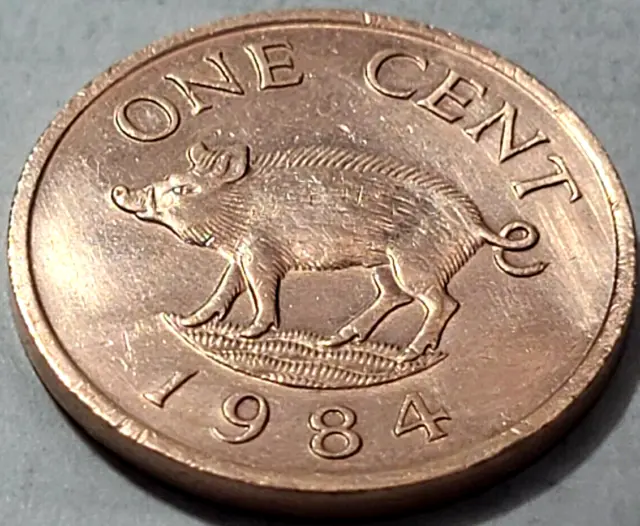1984 Bermuda 1 Cent Coin SCARCE ONLY 800K MINTED KM# 15 US SELLER COMBINE SHIP.