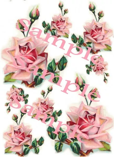 Shabby Roses Colorful Pink Waterslide Decals