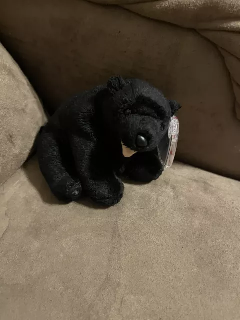 ty beanie babies Cinders The Black Bear. Mwmt