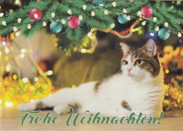 271 AK Frohe Weihnachten Katze unterm Weihnachtsbaum