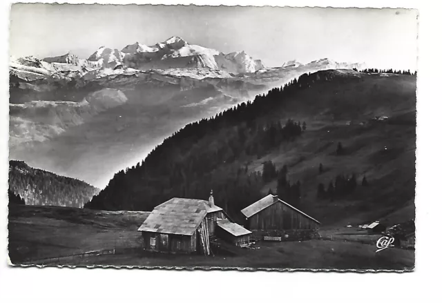 01 Sickle Collar Panorama Sur Le Mont Blanc