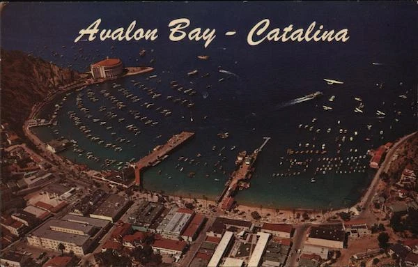 Santa Catalina Island,CA Aerial View of Avalon Bay Los Angeles County Postcard