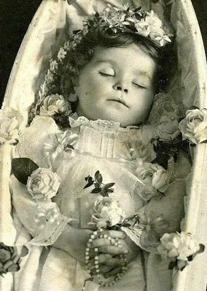 Antique Post Mortem Child Casket Photo 104b Oddleys Strange & Bizarre