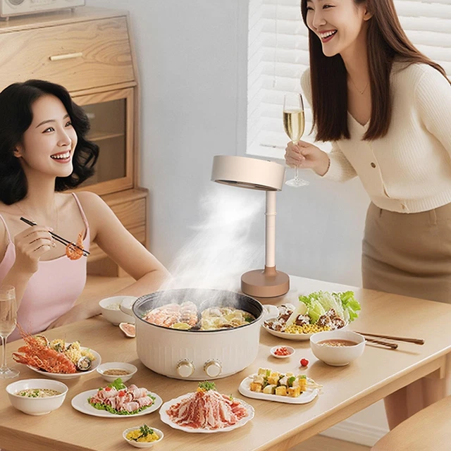 Mini Hotte Aspirante Portable Petite Hotte Aspirante Hotte de Table