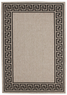Braun Intérieur Outdoor-Teppich Sisal Optique Tissé à Plat Tapis Bordure Romain Braun 