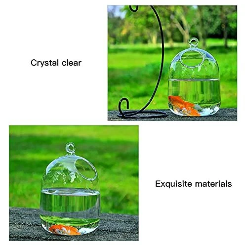 Desk Hanging Fish Tank, Small Cylindrical Glass Fish Bowl 5.9x3.9 in Black 3